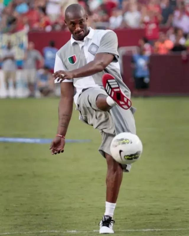 热刺做了一笔好交易：租借拜仁后腰帕利尼亚（热刺精明引援：从拜仁租来后腰帕利尼亚）